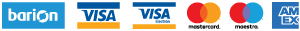 payment-icon-image
